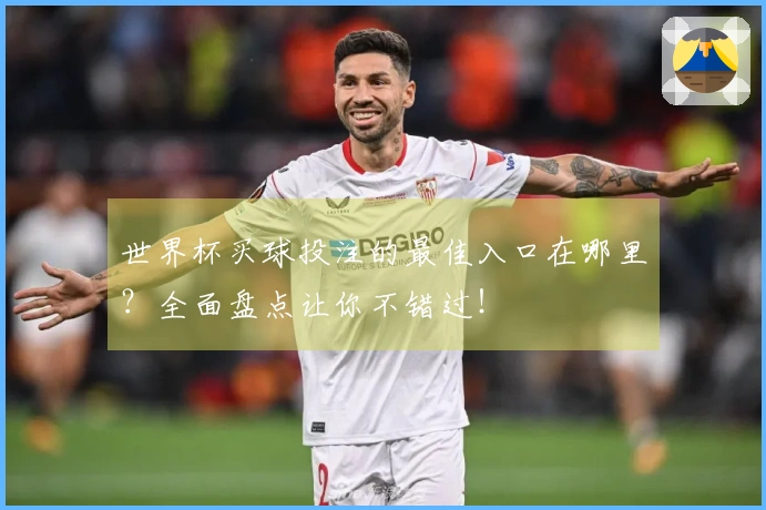 世界杯买球投注的最佳入口在哪里？全面盘点让你不错过！