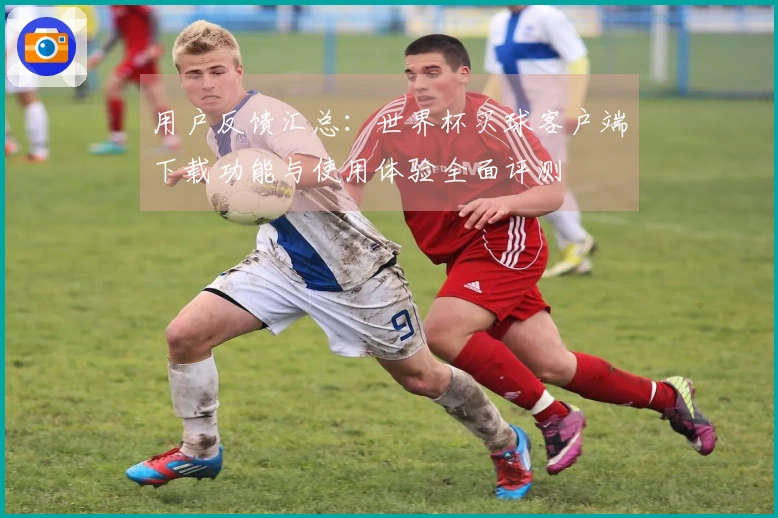 用户反馈汇总：世界杯买球客户端下载功能与使用体验全面评测
