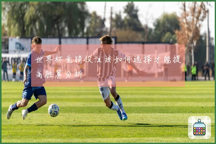 世界杯竞猜投注该如何选择才能提高胜算分析