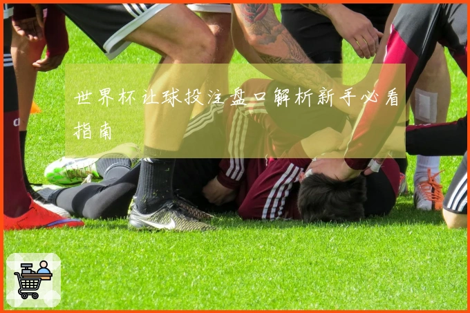 世界杯让球投注盘口解析新手必看指南