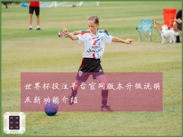 世界杯投注平台官网版本升级说明及新功能介绍