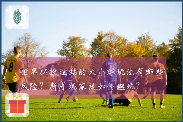 世界杯投注站的大小球玩法有哪些风险？新手玩家该如何避坑？