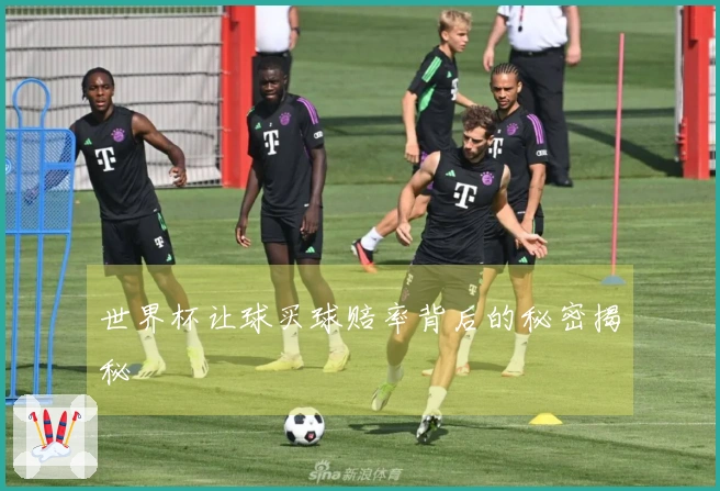 世界杯让球买球赔率背后的秘密揭秘