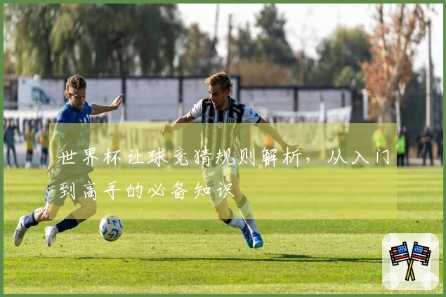 世界杯让球竞猜规则解析，从入门到高手的必备知识