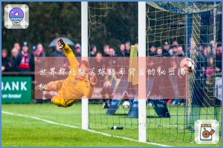 世界杯让球买球赔率背后的秘密揭秘