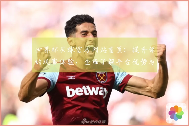 世界杯买球官方网站首页：提升你的观赛体验，全面了解平台优势与功能