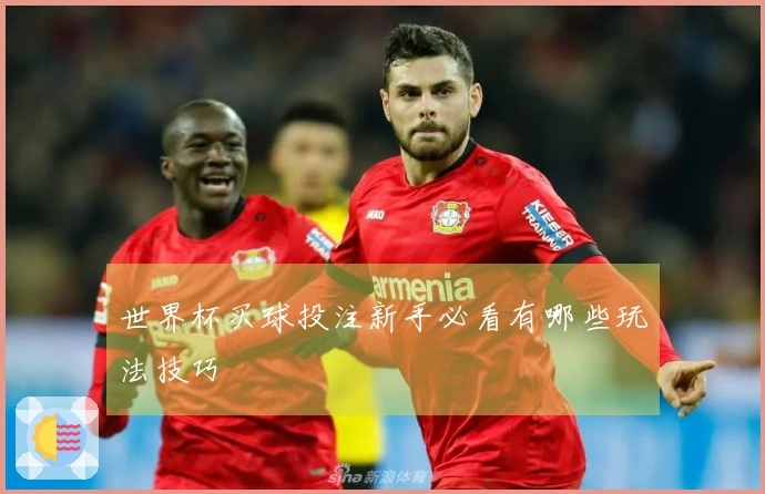 世界杯买球投注新手必看有哪些玩法技巧