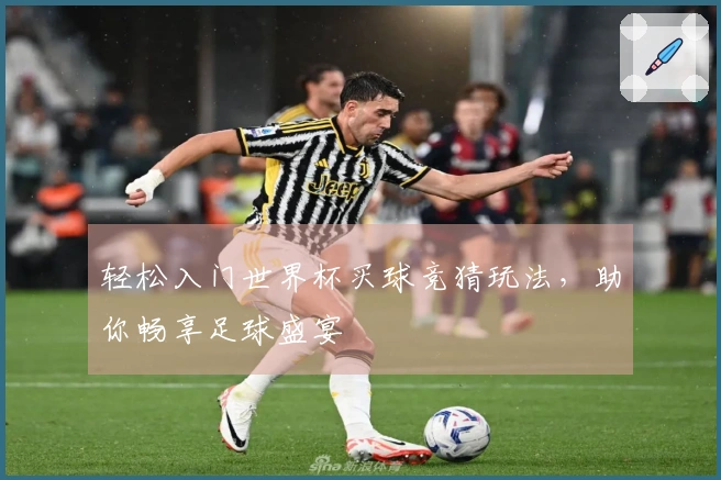 轻松入门世界杯买球竞猜玩法，助你畅享足球盛宴