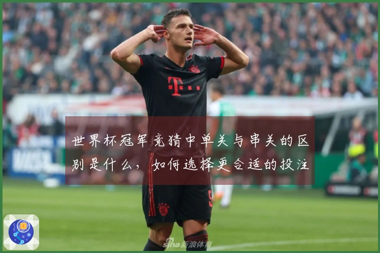 世界杯冠军竞猜中单关与串关的区别是什么,如何选择更合适的投注方式?