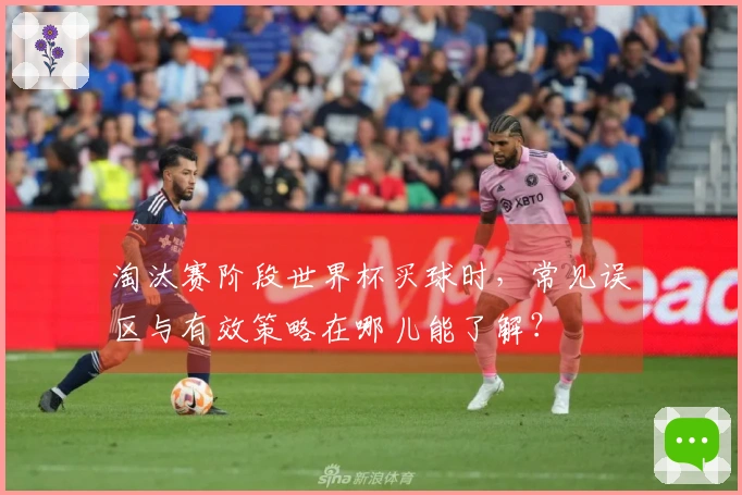 淘汰赛阶段世界杯买球时，常见误区与有效策略在哪儿能了解？