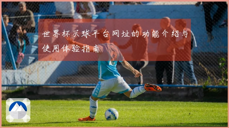 世界杯买球平台网址的功能介绍与使用体验指南