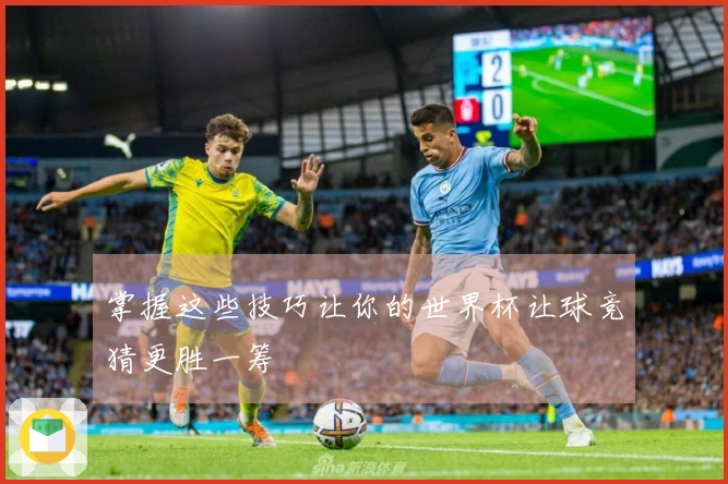 掌握这些技巧让你的世界杯让球竞猜更胜一筹