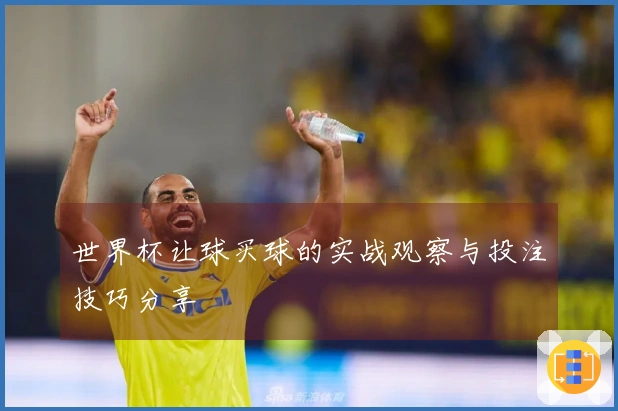 世界杯让球买球的实战观察与投注技巧分享