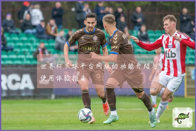 世界杯买球平台网址的功能介绍与使用体验指南