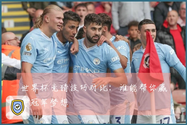 世界杯竞猜技巧对比：谁能帮你赢得冠军梦想