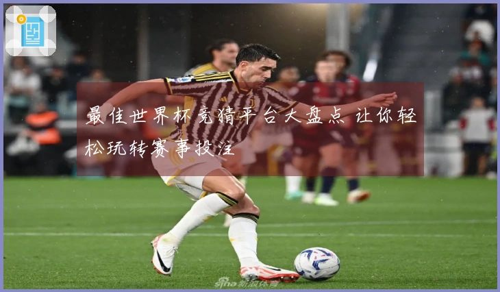 最佳世界杯竞猜平台大盘点 让你轻松玩转赛事投注