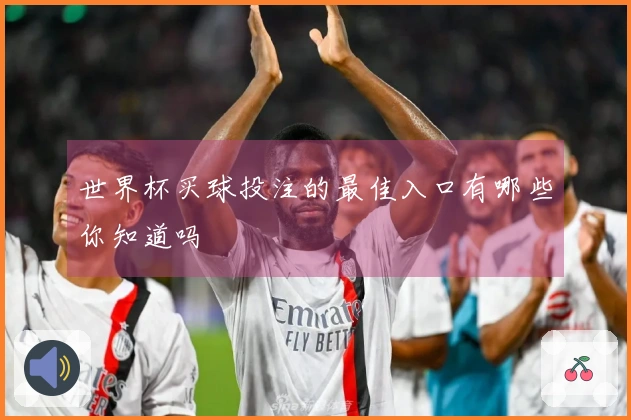 世界杯买球投注的最佳入口有哪些你知道吗